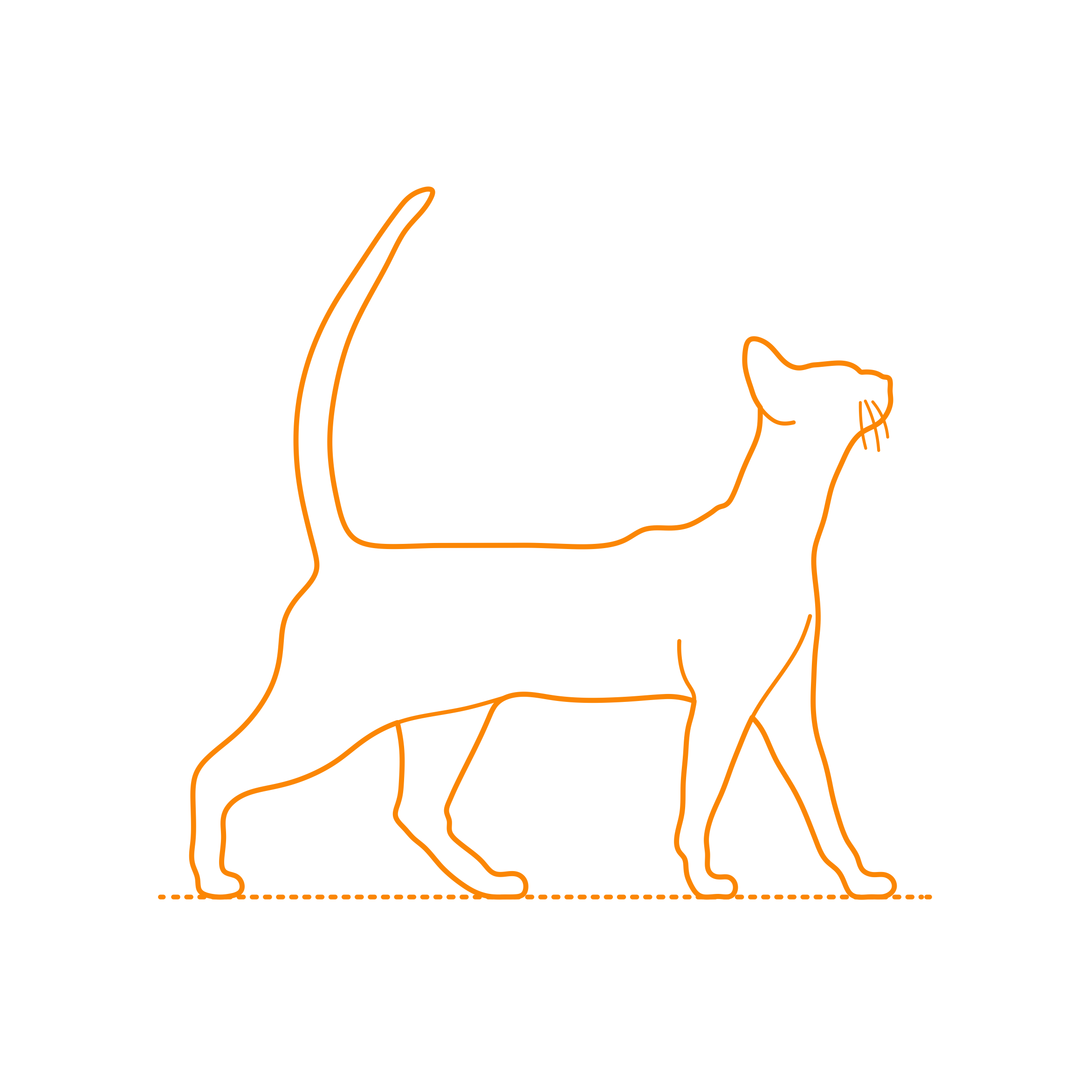 Animals Cats Abyssinian Stencil Svg Design File Free Vectors